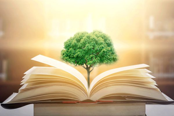 Environmental-Law